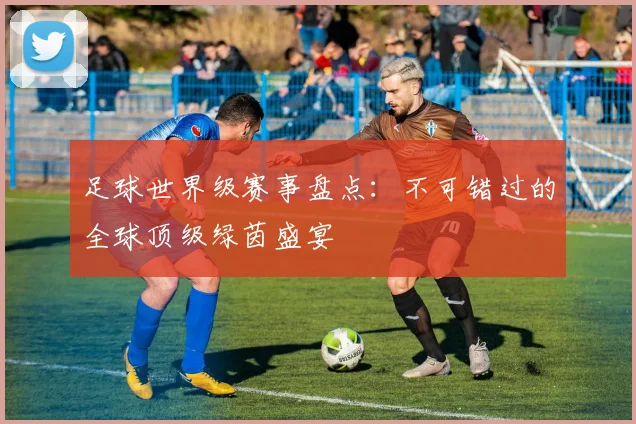 足球世界级赛事盘点：不可错过的全球顶级绿茵盛宴